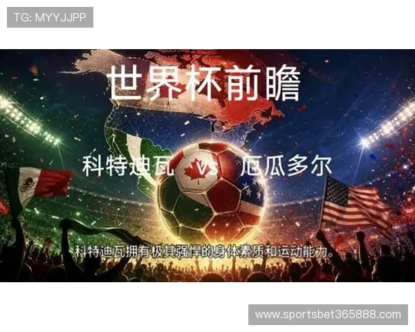 世界杯赛场上科特迪瓦与厄瓜多尔的交锋过程与关键时刻回顾